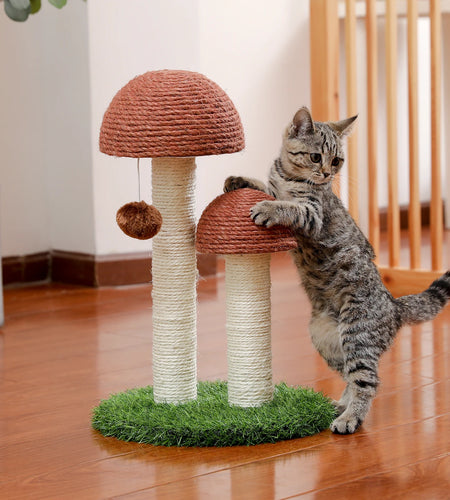 Cat Scratcher Mushroom Funny Kitten Double Scratching Sisal Posts Cat Training Toys for Kittens and Cats with Hanging Ball