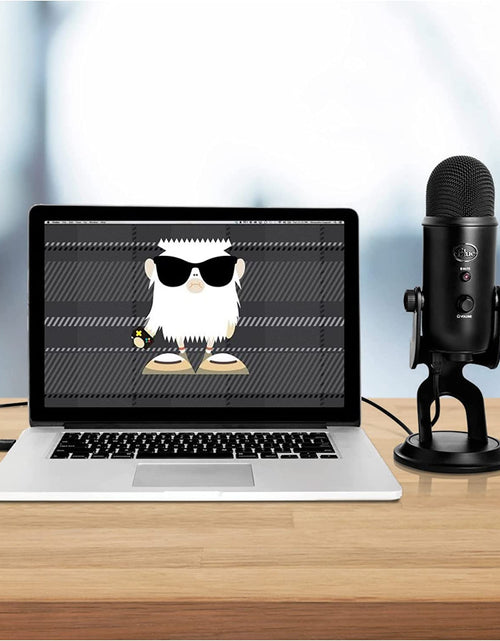 Load image into Gallery viewer, Yeti USB Microphone (Blackout) Bundle with Knox Gear Headphones and Pop Filter (3 Items)
