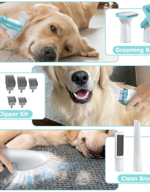 Load image into Gallery viewer, Dog Grooming Kit Vacuum, 6 in 1 Pet Grooming Vacuum, 11000PA Dog Clippers for Grooming, Dog Vacuum for Shedding Grooming, Suction 99% Dog Hair, Low Noise Pet Vacuum Grooming Kit for Dog Cat
