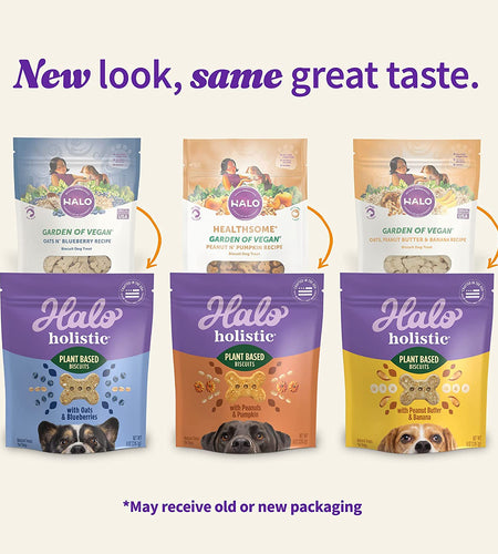 Plant-Based Dog Treats Variety Pack, Oats & Blueberries, Peanut Butter & Banana, Peanuts & Pumkin, Vegan Dog Treat Pouch, 8Oz Bag, 3 Count